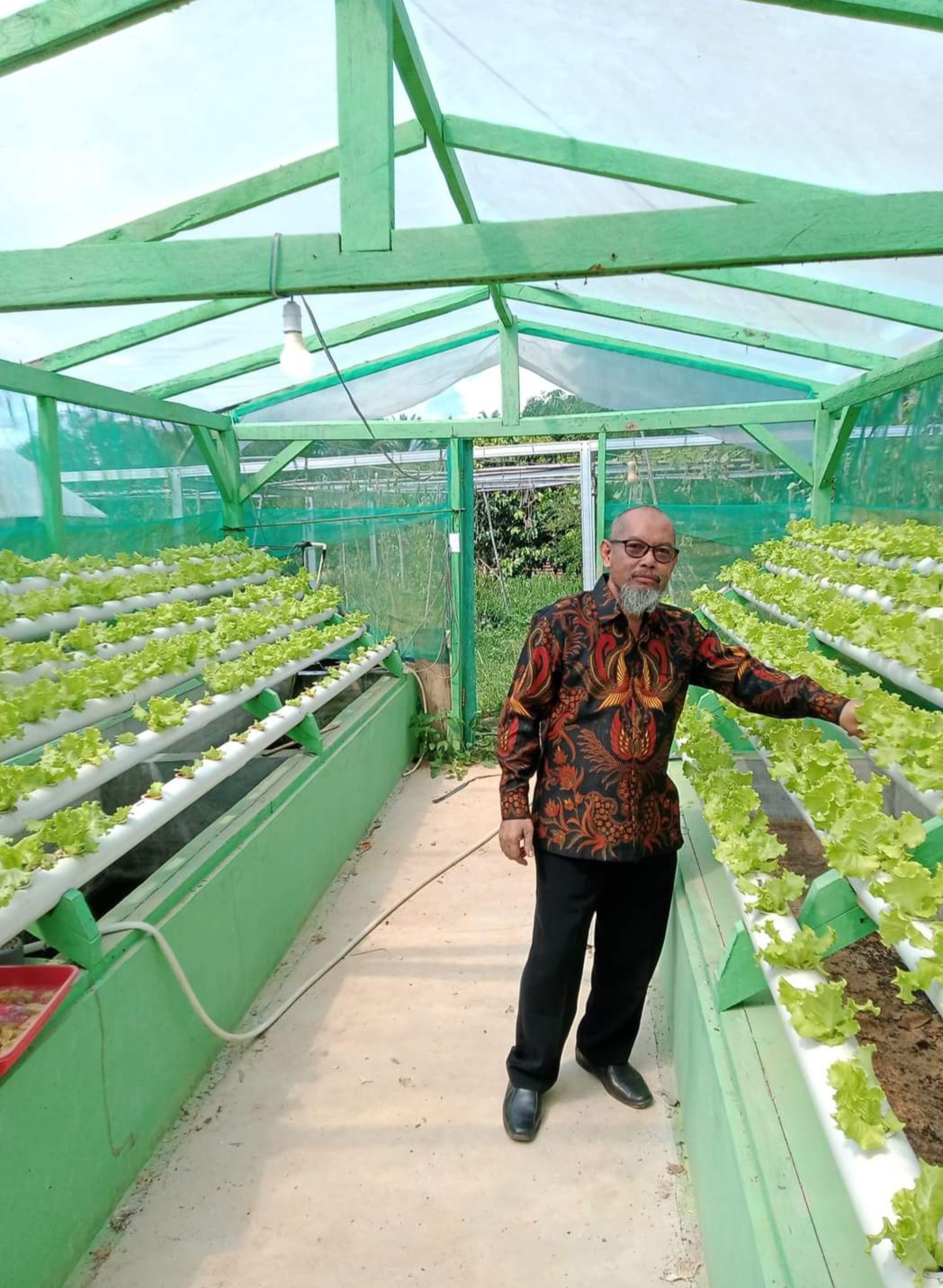 Green house hidroponik