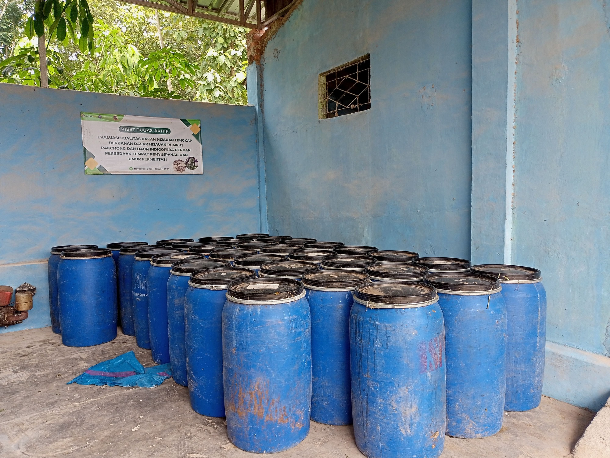 Drum Penyimpanan Pakan Silase