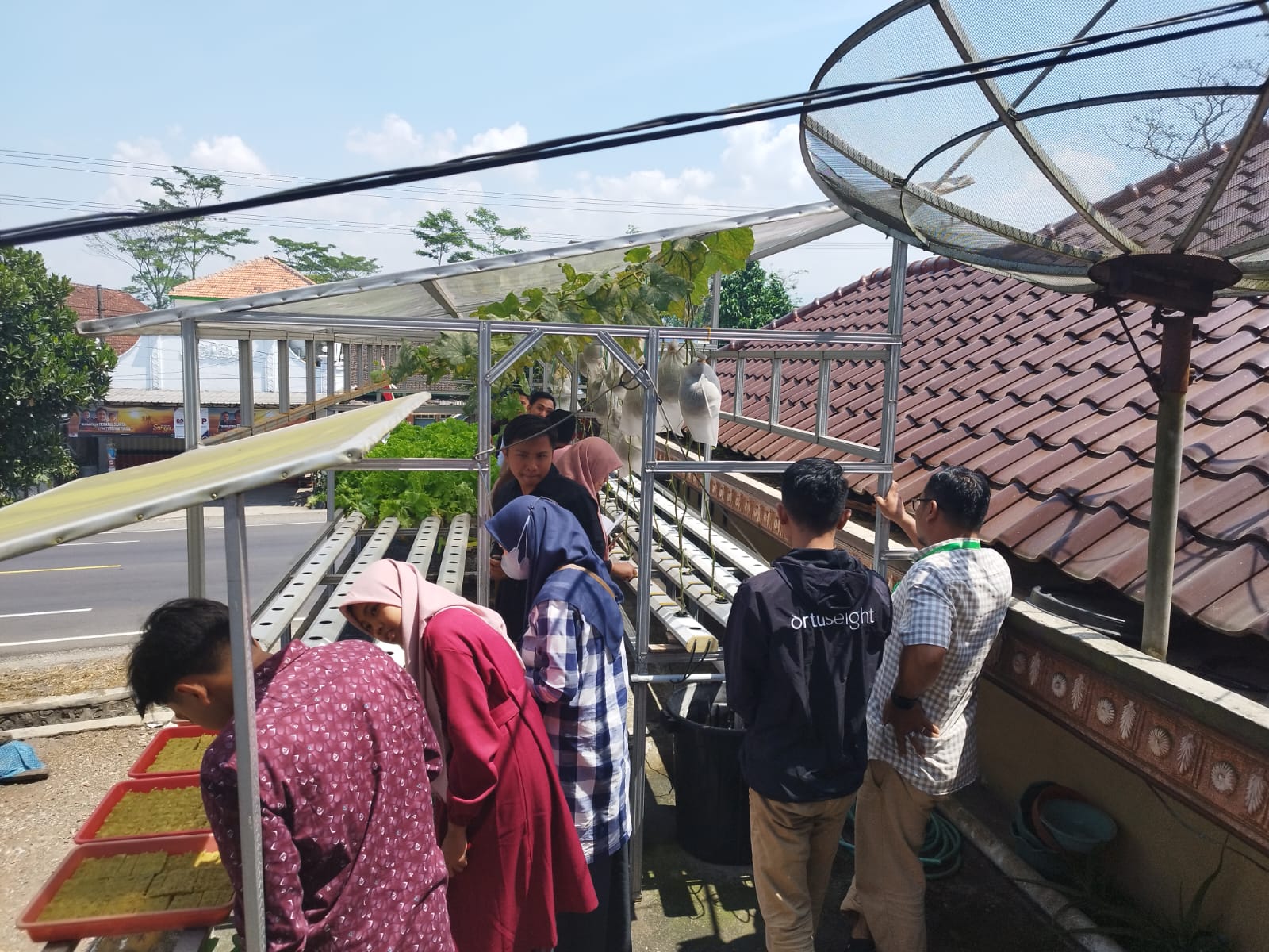 Greenhouse Kebun 1 Reswara Farm